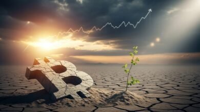 Bitcoin Sell-Off May Be Complete, Year-End Rally Possible, Says Standard Chartered