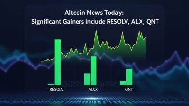 Altcoin News Today Significant Gainers Include RESOLV, ALCX, QNT