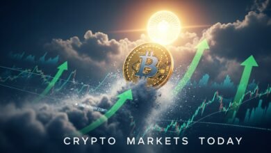 Bitcoin Rises From One-Month Low Crypto Markets Today