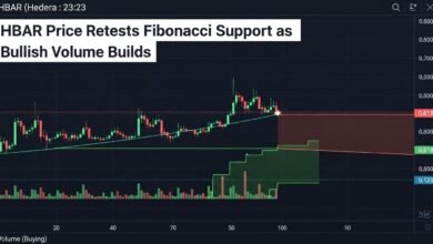 HBAR Price Retests Fibonacci Support as Bullish Volume Builds