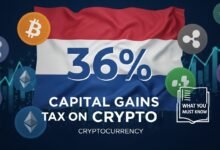 Dutch 36% Capital Gains Tax on Crypto What You Must Know