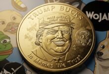 Trump Coin and Meme Tokens Blamed for Crypto Winter by Ross Gerber