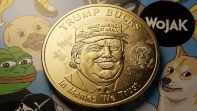 Trump Coin and Meme Tokens Blamed for Crypto Winter by Ross Gerber